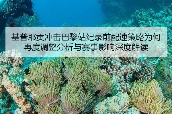 基普耶贡冲击巴黎站纪录前配速策略为何再度调整分析与赛事影响深度解读