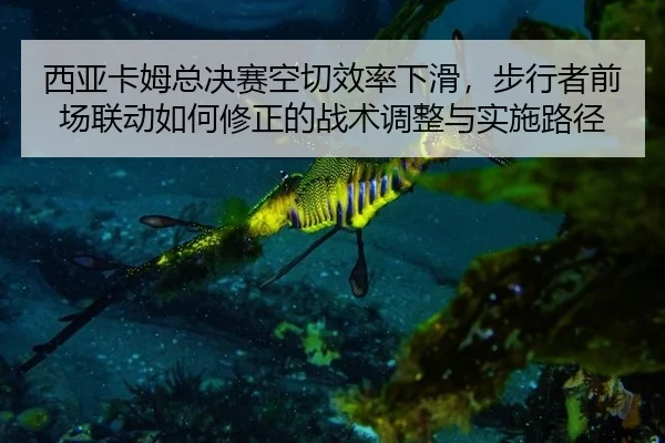 西亚卡姆总决赛空切效率下滑，步行者前场联动如何修正的战术调整与实施路径