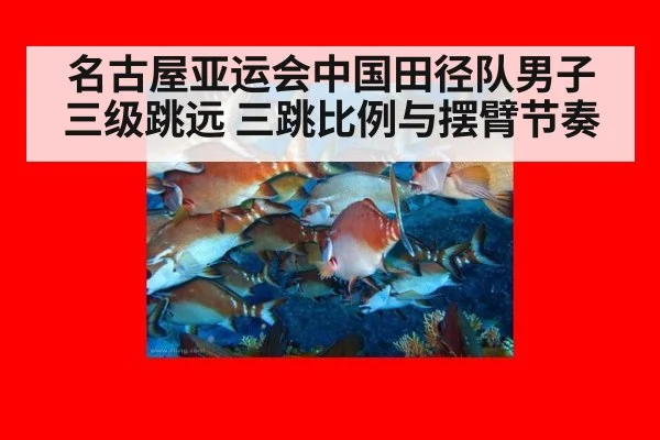 名古屋亚运会中国田径队男子三级跳远 三跳比例与摆臂节奏